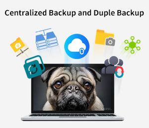 TerraMaster Centralized Backup and Duple Backup Ultimate Data Protection for Businesses and Professional Users